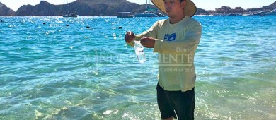 Playas de BCS en excelentes condiciones sanitarias para su recreación