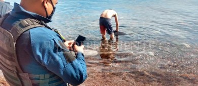 Evitan varamiento de cachalote hacia San Juan de la Costa