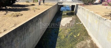 Gobierno de Los Cabos atiende y da respuesta a la petición de vecinos de la colonia Miramar