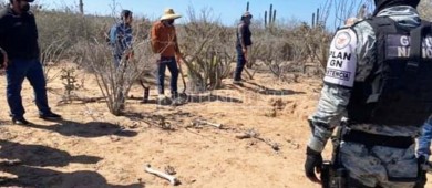 Colectivo de búsqueda ubican osamentas de al menos 4 personas