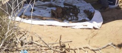 Colectivo de búsqueda ubican osamentas de al menos 4 personas