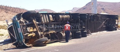 Lesionado chofer de tráiler volcado rumbo a Pichilingue