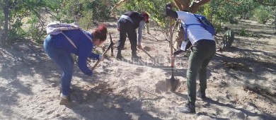 Suman 19 osamentas localizadas en fosas clandestinas de Las Barranca