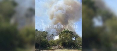 De nuevo... Se incendia el estero josefino