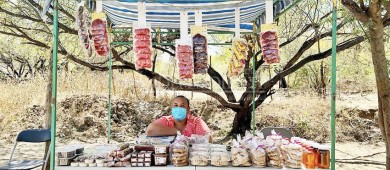 Se recupera la actividad turística en BCS: Fernando Ojeda