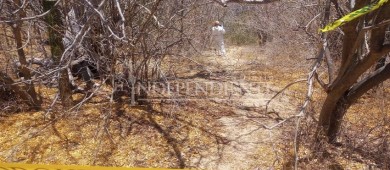 Comondú, el cementerio clandestino más grande de BCS