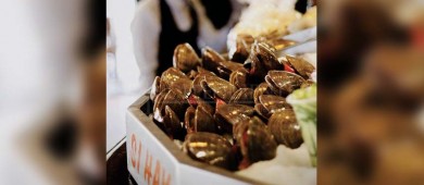 Reactivan Festival gastronómico de la almeja chocolata en Loreto