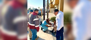 Jornada de choques de motocicletas en La Paz; Al menos seis involucradas en 24 horas