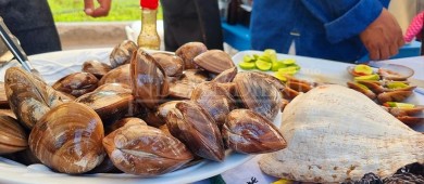 21 restaurantes participaron en festival de la almeja chocolata en Loreto