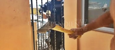 Aprehendido el norteamericano que disparó contra policía de La Paz