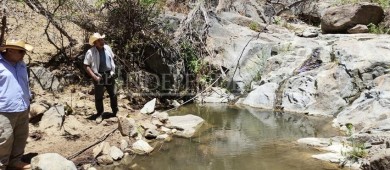 Presupuesto para medio ambiente en BCS no disminuyó: SEPUIMM