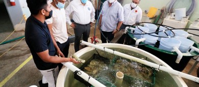 Se vincula UABCS con diferentes sectores a través de su Unidad Pichilingue