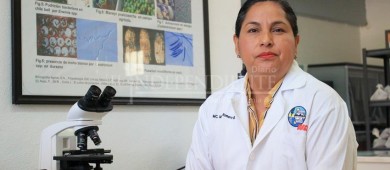 Huertos agrícolas sustentables: un modelo de agricultura ecoeficiente