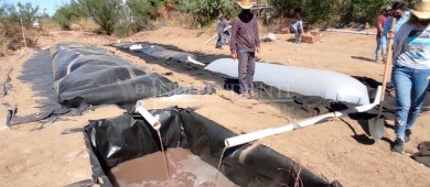 El uso de biodigestores en la producción de energía