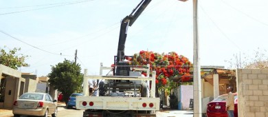 En Servicios Públicos, Agua Potable y Atención Ciudadana, el Gobierno de Los Cabos registra significativos avances para beneficio de las familias sanluquenses