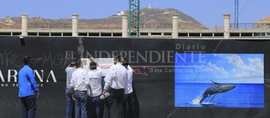 Nadie por encima de ley; realiza Gobierno Municipal una diligencia de embargo contra empresa deudora del impuesto predial en CSL