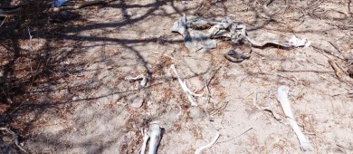 Encuentran restos humanos zona despoblada de La Paz