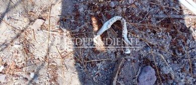 Encuentran restos humanos en zona despoblada de La Paz