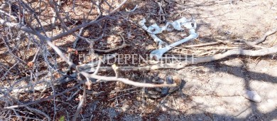 Encuentran restos humanos en zona despoblada de La Paz