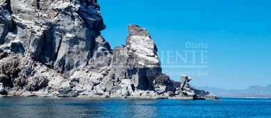 Áreas Naturales Protegidas en BCS preservan espacios naturales