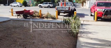 Realiza Servicios Públicos jornada de limpieza en colonia FOVISSSTE