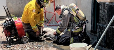 Mueren dos perros tras incendio en una casa