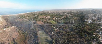 Culmina emergencia y entra en vigilancia permanente, zona de palmares en Todos Santos