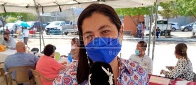 Canalizamos a DIF estatal casos de trabajo infantil: Carla Jonguitud