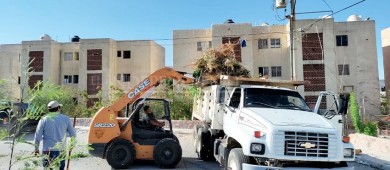 Realiza ayuntamiento La Paz campaña de limpieza en el Pedregal del Cortés