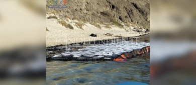 Playa Balandra enfrenta una catástrofe ambiental: CEMDA