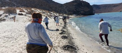 Noticia mundial el ecocidio en Balandra “La playa más bonita de México”
