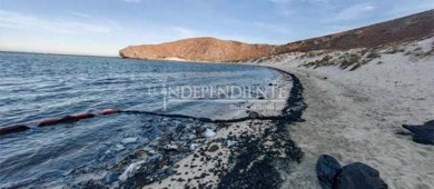 PAN estatal ofrece brigada de voluntarios para labores de limpieza en Balandra