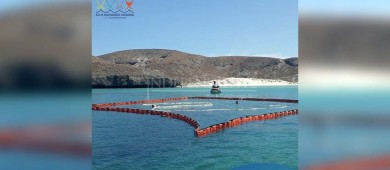 Sin condiciones para la reapertura de playa Balandra: Coepris