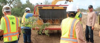 A cambio de composta, Ecoparque La Paz recibirá árboles y residuos maderables