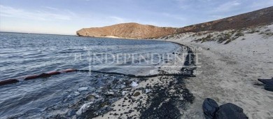 “No sabía” de las comparecencias sobre Balandra en el Congreso BCS: Castro Cosío