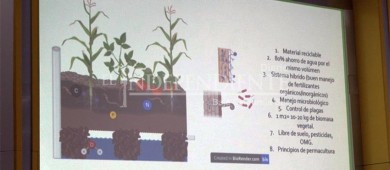 Científicos diseñan “chinampa hidropónica” ante incremento de canasta básica