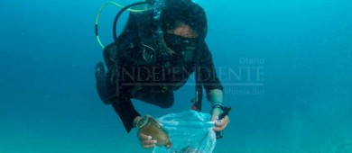 Expertos evalúan impactos del derrame en Balandra: WWF