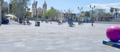 Centro Histórico de SJC tendrá un cambio mediante su reforestación