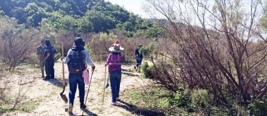 Comisión Estatal de Búsqueda ha localizado 333 personas, 271 de ellos con vida