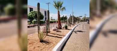 Se instalan 14 cisternas como parte del Proyecto “Camellón Integral en bulevar Colosio”