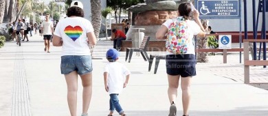 BCS avala la adopción homoparental