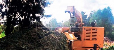 Ingresan 9.4 toneladas de ramas al Eco Parque con el que se genera composta