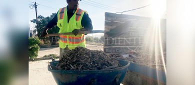 Ingresan 9.4 toneladas de ramas al Eco Parque con el que se genera composta