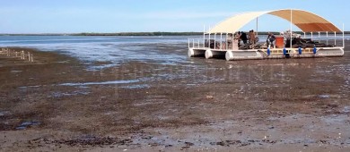 Impulsa gobierno de BCS, la acuacultura como factor de progreso y bienestar