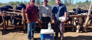 Brinda Apoyo el Ayuntamiento de La Paz a 150 ganaderos