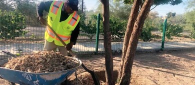 Arranca Ayuntamiento La Paz rehabilitación del Andador en la colonia 8 de Octubre