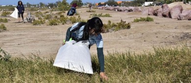 Colabora FONMAR en jornada de limpieza de manglares en La Paz