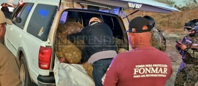 Refuerzan vigilancia para garantizar respeto a la veda de almeja Catarina