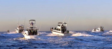 Rompe récords FONMAR al recaudar 73 MDPP mediante permisos para pesca deportiva en 2022