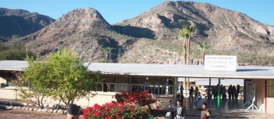 Que volteen a ver SEP a Los Cabos, “nos falta recurso para albergues” asegura Leggs Castro